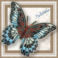 Набор для вышивки бисером бабочки «Парусник Полимнестор»